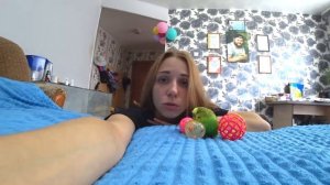 Что стало с попугаем!?