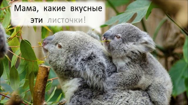 Учимся читать, 4 уровень, занятие 2 - читаем комиксы по слогам смотреть онлайн