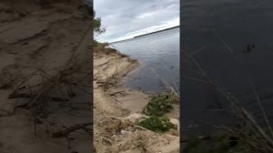 Летняя рыбалка в Якутии!