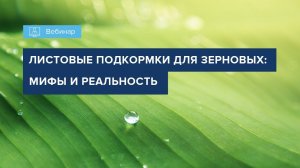 Вебинар "Листовые подкормки для зерновых культур: мифы и реальность"