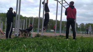 Тренировка хвата. Лесенка на рукоходе