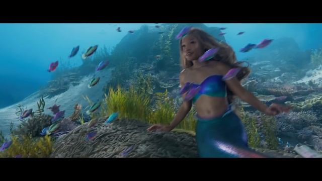 The Little Mermaid | Under The Sea