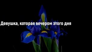 31 мая. Народные приметы и запреты