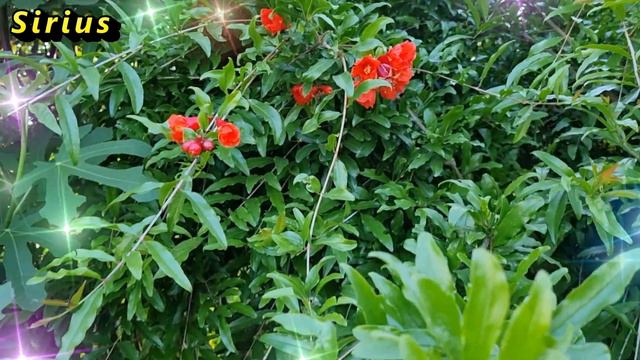 4 знака зодиака, у которых наступает пик возможностей в декабре 2021 года смотреть онлайн