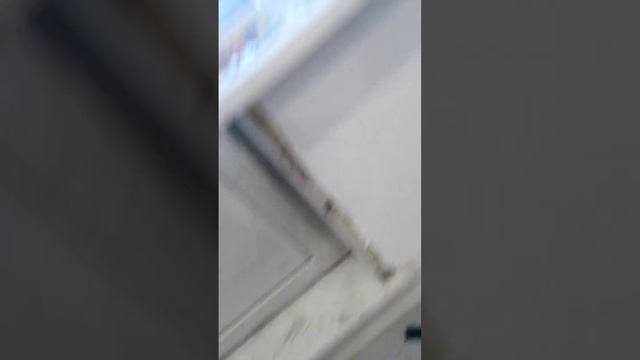 Укладка ламината 33 класс производитель  Artens, подложка AXTON продаётся в Леруа.