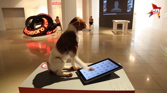 Музей ПЕРММ выставки: «Искусство для людей» и «Форма незримого» смотреть онлайн