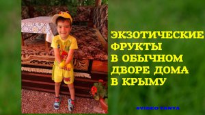 ОТПУСК В СУДАКЕ. ПОСМОТРИМ КАКИЕ РАСТЕНИЯ ЕСТЬ ВО ДВОРЕ ДОМА В КРЫМУ?