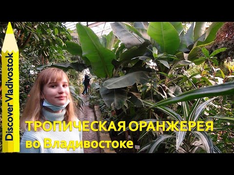 ТРОПИЧЕСКАЯ ОРАНЖЕРЕЯ БОТАНИЧЕСКИЙ САД / Botanical Garden-Institute