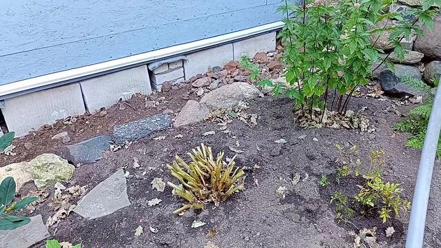 Мой новый цветник (Было и Стало)