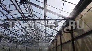 Системы поддержания влажности в тепличных хозяйствах с помощью туманообразования Высокого Давления.