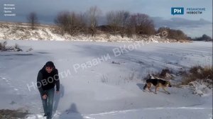 Рязанец спас тонущую собаку из ледяной воды