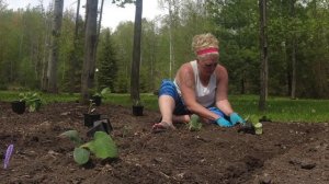 PLAYING IN THE DIRT! Planting pumpkins & squash