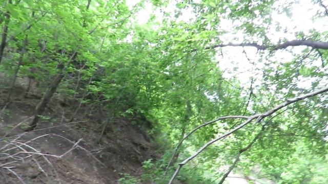 Труба, откуда хлещет вонючая, с запахом сероводорода вода. Кемерово смотреть онлайн