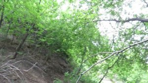 Труба, откуда хлещет вонючая, с запахом сероводорода вода. Кемерово