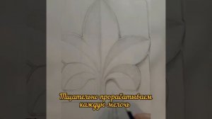 рисунок гипсовой розетки