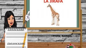 ¿Cómo hacer una exposición?