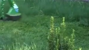 Lawn Mower, Trimmer