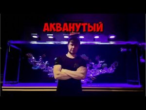 Морской аквариум  | Отвечаю на ваши вопросы ❓