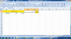 Lecture 3 (part 2) : Microsoft Office Excel 2007