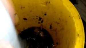 "НЕ" обычный затор канализации в кухне...даже черви завелись.