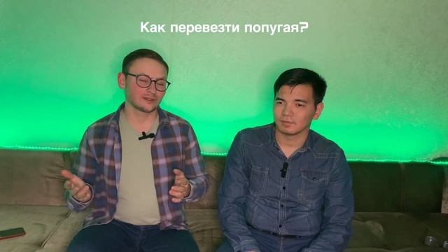 podКАЗt (Ep.4): ANIMAL LAW | перевозка животных и юридические услуги в сфере зооправа