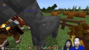 How to Code MINECRAFT: *HORSE FARM* in Minecraft: Education Edition with PYTHON