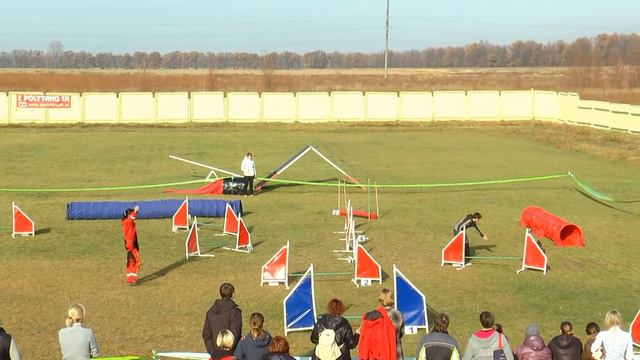 Ваня Антоненко и Русский той Kontrolny Vistrel (Крепыш) смотреть онлайн