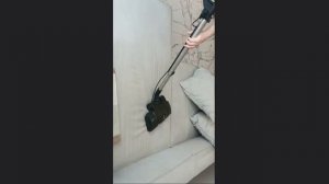 химчистка дивана электро-выбивалкой Hyla