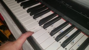 yamaha p105