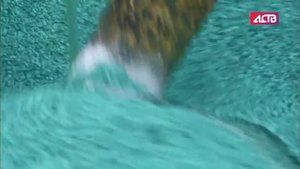 Малый бизнес на Сахалине: Георгий и Игорь изготавливают резиновую крошку из автомобильных шин