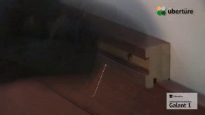интерьерная панель и кессонный потолок