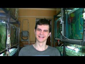 Почему белеет икра у рыбок? Основные причины.