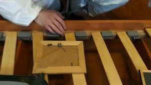 Профилактические меры от постельных клопов