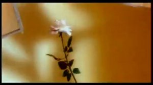 турецкие песни  Сибел Жан - Падишах (1997)