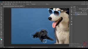 Remove object from image in photoshop cc  | how to use Patch Tool in photoshop cc | photoshop cc