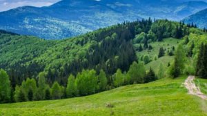 О самообольщении. Святитель Игнатий Брянчанинов письма мирянам