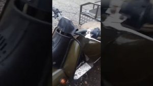 Моторолер Муравей краткий обзор
