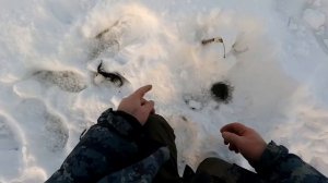 Рыбалка с Дрюней #6 \ Завершение \ Итоги