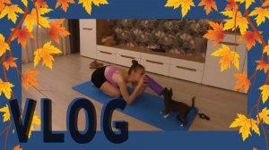 VLOG 14.11.2023 Ктоооо проживает на дне океана?!