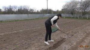 Лук Эксибишен. Посадка рассады в открытый грунт - все тонкости и нюансы в одном ролике