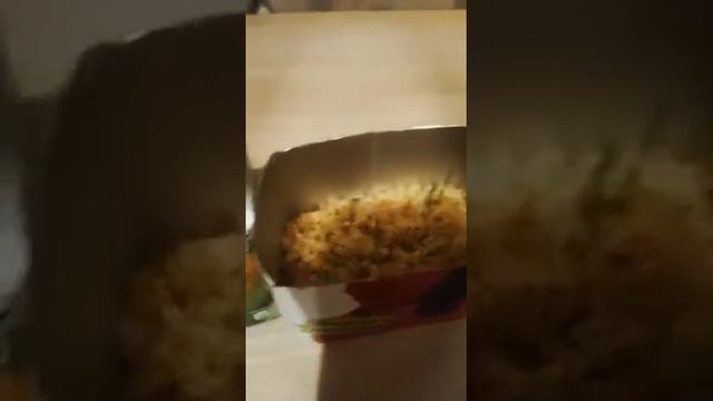 Результаты посадки травы! /Миша подрос/Как посадить травку для грызунов. смотреть онлайн