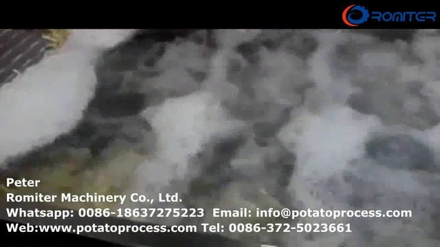 Линия по производству замороженного картофеля фри с мгновенной заморозкой для клиента из Катара смотреть онлайн