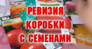 Ревизия коробки с семенами