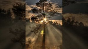 Таңнарымда Һине Яраттым...