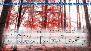 Шербурские зонтики (Les Parapluies de Cherbourg) музыка из фильма скрипка и фортепиано кавер ноты