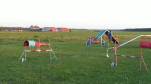 23.05.2015 г.  Аджи на тренировке.