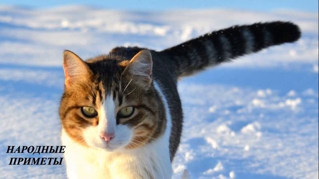 ЕРЁМИН ДЕНЬ! Простятся 7 грехов! Народные приметы 26 января.