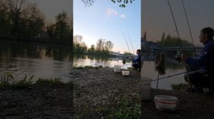 Мини Карп на бойлы. ? Рыбалка на Карпа весной. 27 апреля 2022.река Майн.