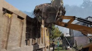 Расчистка участка во Владимире. Спил деревьев во Владимире.