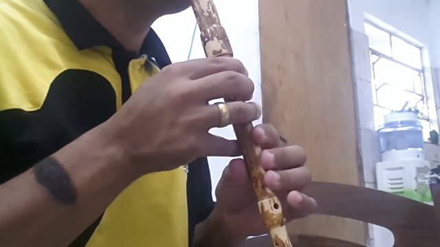 CCB-FLAUTA-DOCE-TREINANDO смотреть онлайн